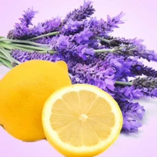 Lemon Lavender Fragrance Oil